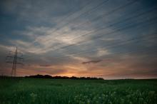 Feld