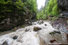 Breitachklamm VIII